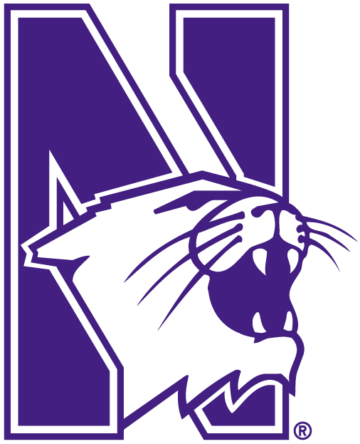 Northwestern Wildcats 1981-Pres Alternate Logo iron on transfers for clothing